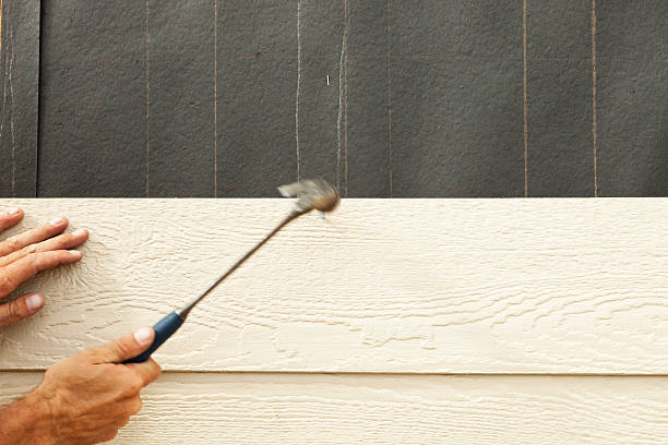 Best Fascia and Soffit Installation  in Shoreview, MN